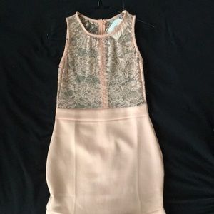 Scalloped Edge Dress